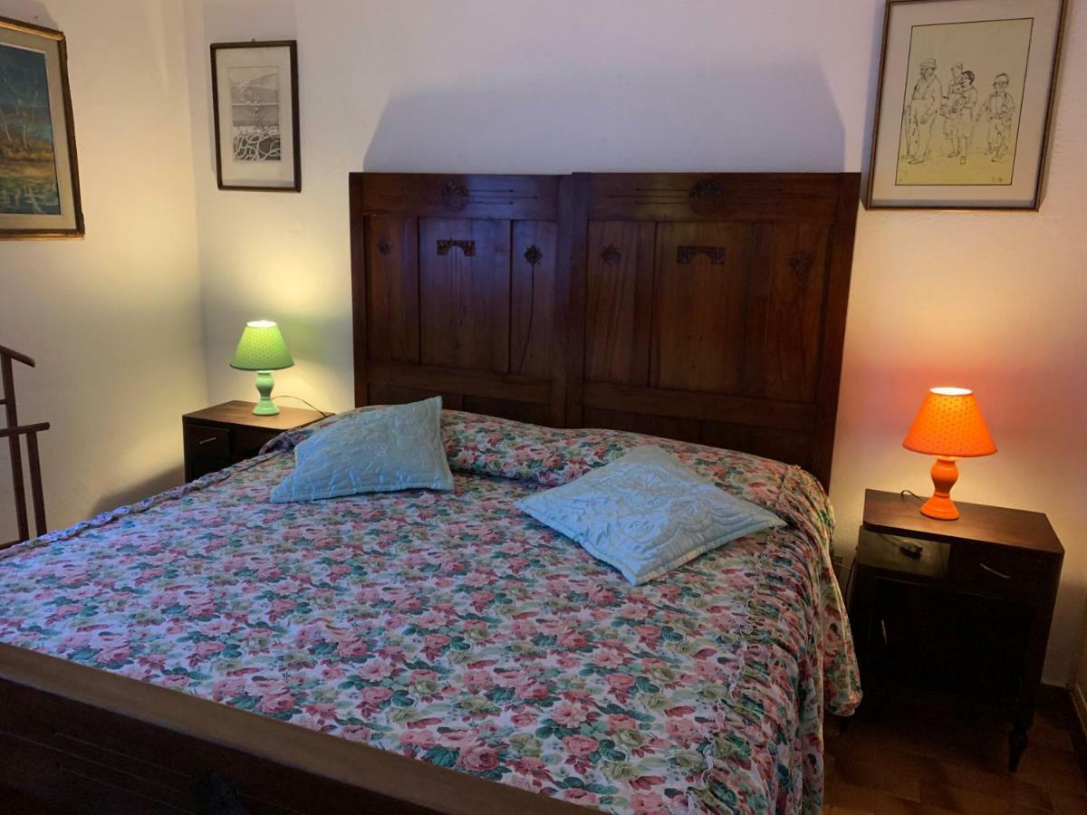 Stella Appartement Cecina (Livorno)